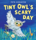 Image for Tiny Owl&#39;s Scary Day