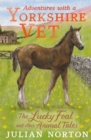 Image for Adventures with a Yorkshire vet  : the lucky foal and other animal tales