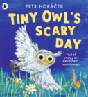 Image for Tiny Owl&#39;s Scary Day