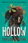 Image for Hollow