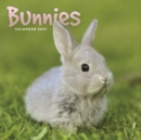 Image for Bunnies Mini Square Wall Calendar 2021