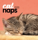 Image for Cat Naps Easel Desk Calendar 2021