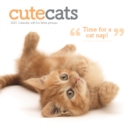 Image for Cute Cats Square Wall Calendar 2021