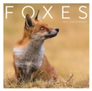 Image for Foxes Square Wall Calendar 2021