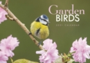 Image for Garden Birds A4 Calendar 2021