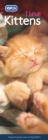 Image for I Love Kittens, RSPCA Slim Calendar 2021