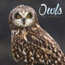 Image for Owls Square Wall Calendar 2021