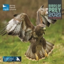 Image for RSPB Birds of Prey Square Wall Calendar 2021