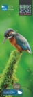 Image for RSPB Birds Slim Calendar 2021