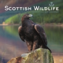 Image for Scottish Wildlife Square Wall Calendar 2021