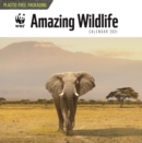 Image for WWF Amazing Wildlife Square Wall Calendar 2021
