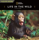 Image for Life in the Wild National Geographic Square Wall Calendar 2021
