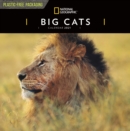 Image for Big Cats National Geographic Square Wall Calendar 2021