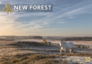 Image for New Forest A4 Calendar 2022