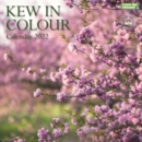 Image for Royal Botanic Gardens Kew, Kew in Colour Square Wall Calendar 2022