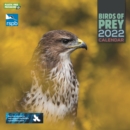 Image for RSPB Birds of Prey Square Wall Calendar 2022