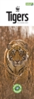 Image for WWF Tigers Slim Calendar 2022