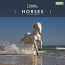 Image for Horses National Geographic Square Wall Calendar 2022