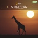 Image for Giraffes National Geographic Square Wall Calendar 2022