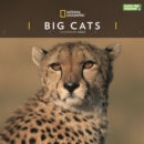 Image for Big Cats National Geographic Square Wall Calendar 2022