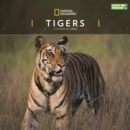 Image for Tigers National Geographic Square Wall Calendar 2022