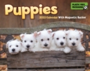 Image for Puppies Mini Box Calendar 2022