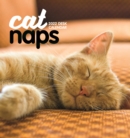 Image for Cat Naps Easel Desk Calendar 2022