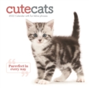 Image for Cute Cats Square Wall Calendar 2022