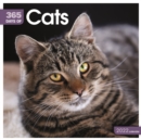 Image for Cats 365 Days Square Wall Calendar 2022