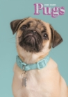 Image for Pugs A5 Diary 2022