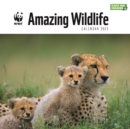Image for WWF Amazing Wildlife Square Wall Calendar 2023