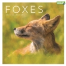 Image for Foxes Square Wall Calendar 2023