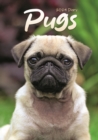 Image for Pugs A5 Diary 2024