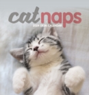 Image for Cat Naps Easel Desk Calendar 2024