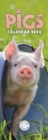 Image for Pigs Slim Calendar 2024