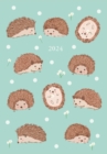 Image for Hedgehogs A6 Diary  2024