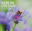 Image for Royal Botanic Gardens Kew, Kew in Colour Square Wall Calendar 2025