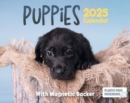 Image for Puppies Mini Box Calendar 2025