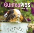 Image for Guinea Pigs Square Mini Calendar 2025