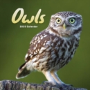 Image for Owls Square Mini Calendar 2025