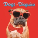 Image for Dogs in Disguise Square Wall Calendar 2025