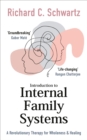 Image for Introduction to Internal Family Systems: A Revolutionary Therapy for Wholeness &amp; Healing