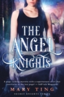 Image for The Angel Knights