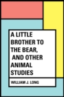 Image for Little Brother to the Bear, and other Animal Studies