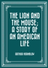 Image for Lion and the Mouse; a Story of an American Life