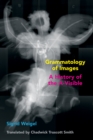 Image for Grammatology of Images