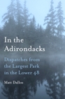 Image for In the Adirondacks