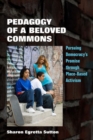 Image for Pedagogy of a beloved commons  : pursuing democracy&#39;s promise through place-based activism