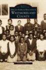Image for African-American Education in Westmoreland County