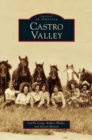 Image for Castro Valley
